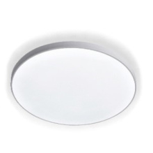Светильник светодиодный потолочный LE LED BL IP65 18W 5K LEEK - купить ...